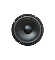 16 cm Çıplak Hoparlör 6.5" - PW-16.2 (Siyah)