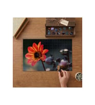 Turuncu Yıldız Çiçeği Tasarımı 240 parça Ahşap Puzzle Ahşap Kutuda MP05473