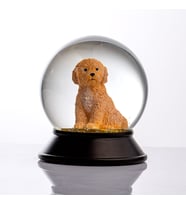 Snoowg Cam ve Reçine Altın Patiler Köpek Toy Poodle (Kayısı) Kar Küresi Hediye