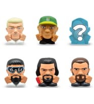 WWE Serisi 1 Sürpriz Paket