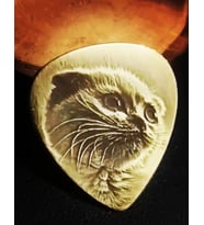 Kedi Tasması Kedi Künyesi (Silver)