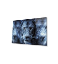 Aslan Cam Tablo 4mm Dayanıklı Temperli Cam (Çok Renkli)