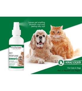 PRO PERFECK KEDİ VE KÖPEK KİRAZ ÇİÇEĞİ PARFÜM 100 ML