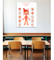 Vücut Bölümleri Poster İngilizce Pvc Kaplı 30x42 cm Kız