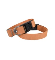 Köpek Tasması Dokuma 2 cm - Min: 30 cm - Max: 50 cm Tcu