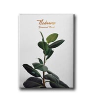 Botanik Canvas Tablo MİND219