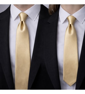 Unisex Gold Saten Kravat – Düz Parlak Kumaş  Zamansız & Güçlü Stil