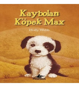 Kaybolan Köpek Max
