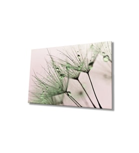 Miyrem Glasses Collection -A1^#  Yeşil Karahindiba Cam Tablo (Çok Renkli)