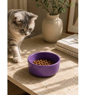 Kase Model Beton Kedi Köpek Mama ve Su Kabı (15cm çap × 5cm) - Mor