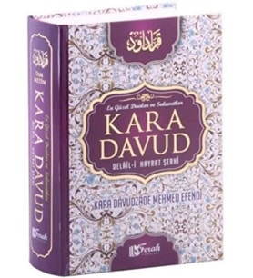 Kara Davud Delail-i Hayrat Şerhi (2. Hamur)