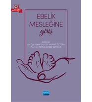 Ebelik Mesleğine Giriş
