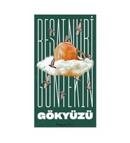 Gökyüzü Reşat Nuri Güntekin İnkılap Yayınları