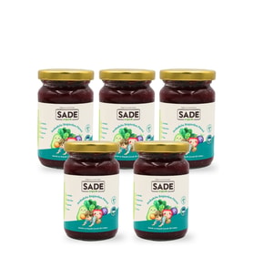 SADE ORGANİK AVAKADO BÖĞÜRTLEN PÜRESİ 100 GR. 5 Lİ