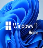 Microsoft Windows 11 Home KW9-00660 64 Bit İşletim Sistemi