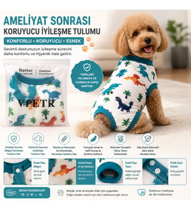 Ameliyat Sonrası Koruyucu Köpek Tulumu – Recovery Suit