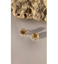 Şeffaf İçinde Gold Glitterli Kedi Köpek Pati Şekil Küpe Gold Aksesuarlı El Yapımı
