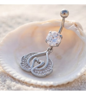 FerizZ 316L Çelik Zirkon Taşlı Kuğu Piercing PRC-122