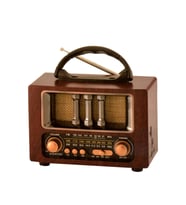 Everton RT-731 Nostaljik Radyo