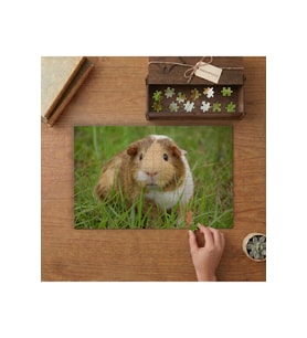 Sevimli Hamster Tasarımı 240 parça Ahşap Puzzle Ahşap Kutuda MP04921
