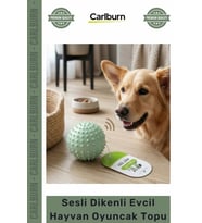Özel Üretim Dayanıklı Kauçuk Diş Kaşıyıcı Kedi Köpek Çiğneme Sesli Dikenli Evcil Hayvan Oyuncak Topu
