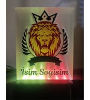 Kişiye Özel İsimli Sarı Kırmızı Aslan Dekoratif Led Lamba M2 Kablolu Adaptörlü Geri Dönüşüm PET (01)
