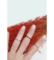 6'lı Set Rose, Siyah ve Gümüş Renk Eklem Yüzüğü