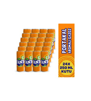 Fanta Portakal 250 ml Kutu 24 Adet