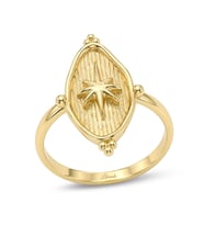 Sovereign Lodestar