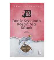 Deniz Kıyısında Koşan Ala Köpek