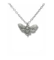 Death Skull Moth Figürlü Unisex Kolye  Gotik Kafatası Güvesi Tasarım 60 cm Zincirli Aksesuar (Gümüş)