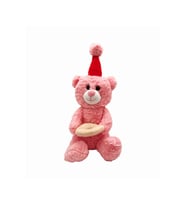 Peluş Pastalı Ayıcık - Mavi Su Dünyası (Pembe)