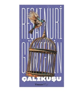 Çalıkuşu (Yeni Kapak)