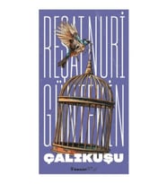 Çalıkuşu (Yeni Kapak)
