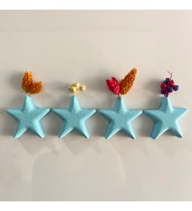 Verdoflora - 4'lü Magnetli Mini Vazo - Yıldız Star Tasarım - Buzdolabı Magneti