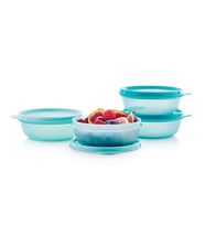 TUPPERWARE Buzdolabı Saklama Kabı 300 ml 4lü Set