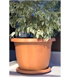 Villa Saksı – 14 Litre Geniş Hacimli Saksı 35x29 cm  İç & Dış Mekan Şık Tasarım