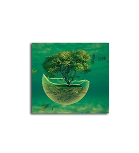 DBSanatevi Manipülasyon Tablo 50 X 50 Cm