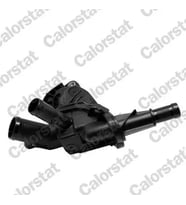 CALORSTAT VERNET TH733683J Termostat 110616064R