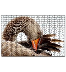 Cakapuzzle Kanadını Temizleyen Kahverengi Kaz Görseli Puzzle Yapboz MDF (Ahşap) (120 Parça)