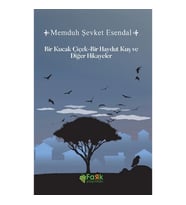 Bir Kucak Çiçek & Bir Haydut Kuş ve Diğer Hikayeler