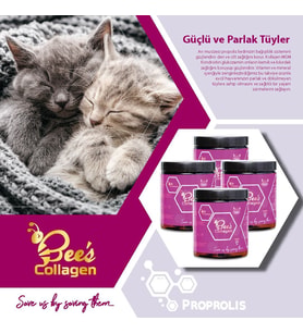 Bee's Collagen Kedi Propolis 4li Set