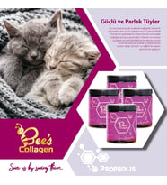 Bee's Collagen Kedi Propolis 4li Set