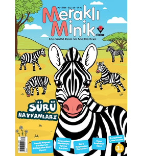 Meraklı Minik Dergi Mart 2026 (3-6 yaş)