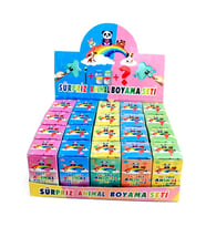 Süpriz Animal Boyama Seti Kutuda - 1 adet