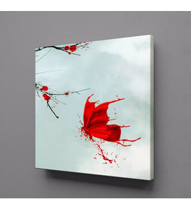 KIRMIZIYA BOYANMIŞ KELEBEK KANVAS TABLO 50x50cm (Karışık)