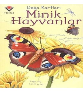 Doğa Kartları - Minik Hayvanlar