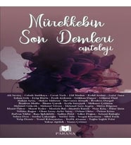 Mürekkebin Son Demleri - Antoloji