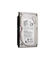 500 GB Seagate 3,5'' 7/24 Kurumsal Güvenlik Harddiski