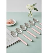 6 lı Paslanmaz Çelik Tatlı Kaşığı Seti Somon Pembe Saplı 15 cm